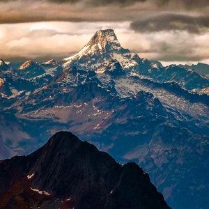 Meet your Posher, Jayme